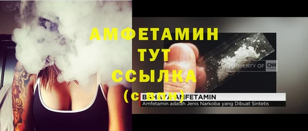 дмт Арсеньев