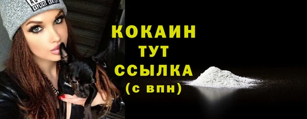 дмт Арсеньев
