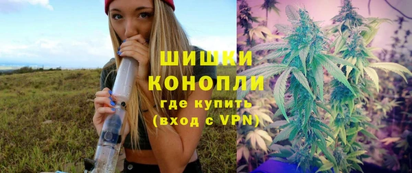 mdpv Каменногорск