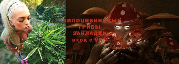 дмт Арсеньев