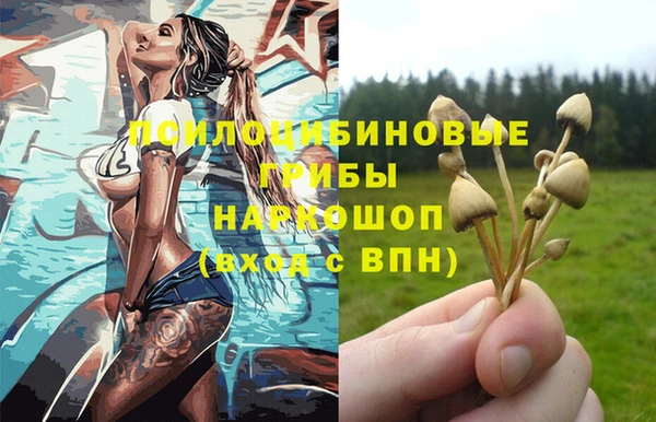 дмт Арсеньев