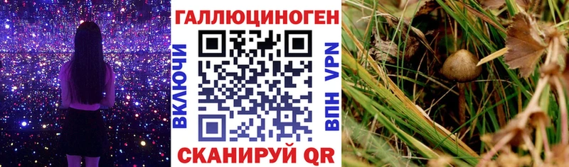 Галлюциногенные грибы ЛСД  купить  цена  Сергач 