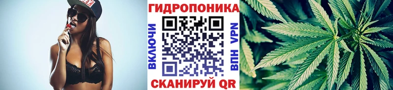 Бошки Шишки VHQ  Сергач 